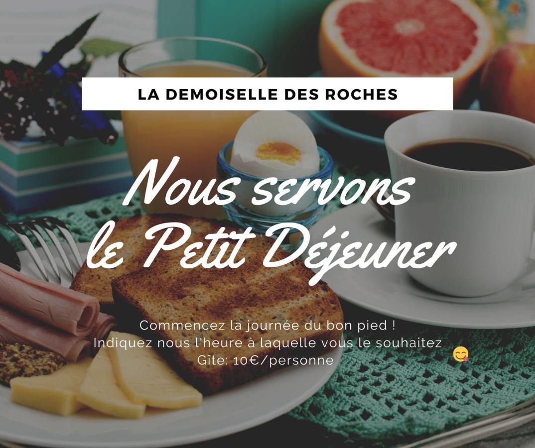 Demoiselle Des Roches Ramonchamp Exterior foto