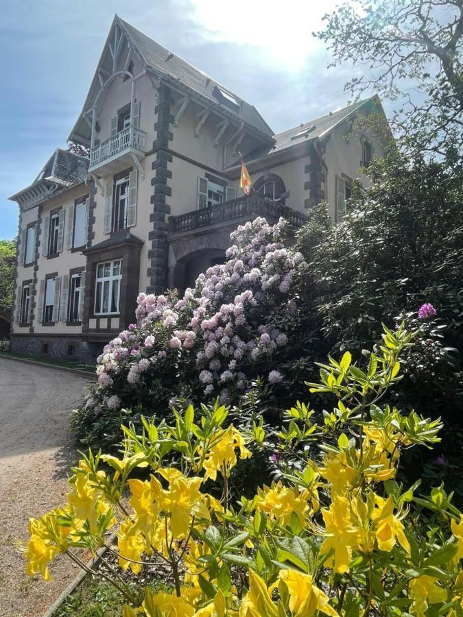 Demoiselle Des Roches Ramonchamp Exterior foto