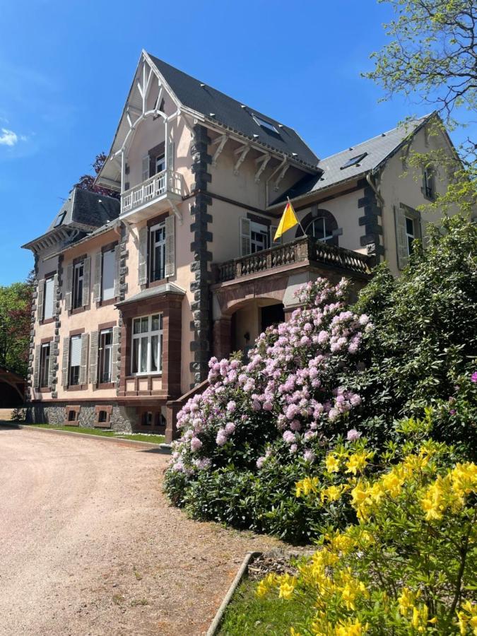 Demoiselle Des Roches Ramonchamp Exterior foto